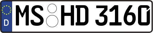 MS-HD3160