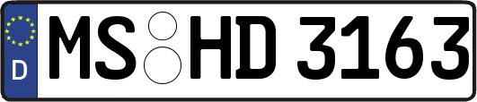 MS-HD3163