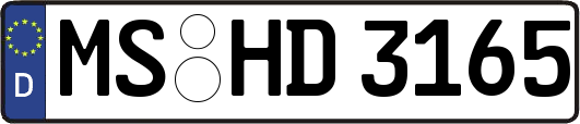 MS-HD3165