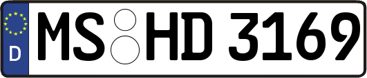 MS-HD3169