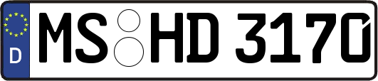 MS-HD3170