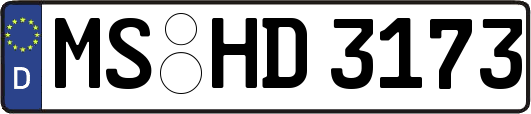 MS-HD3173