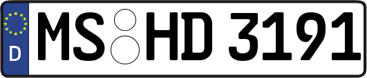 MS-HD3191