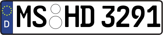 MS-HD3291