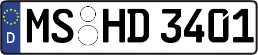 MS-HD3401