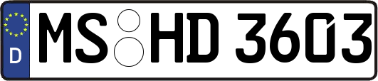 MS-HD3603