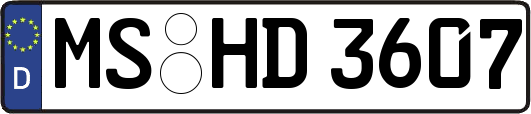 MS-HD3607