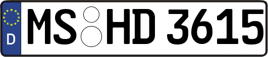 MS-HD3615
