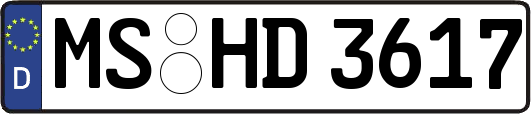 MS-HD3617
