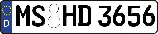 MS-HD3656