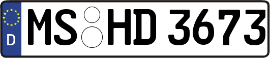 MS-HD3673