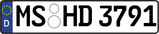 MS-HD3791