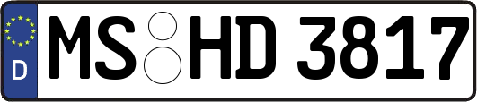 MS-HD3817