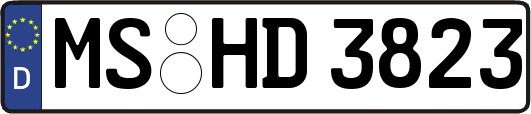 MS-HD3823