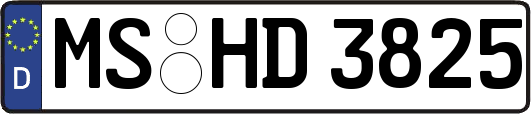 MS-HD3825