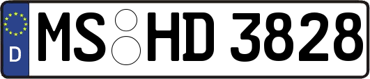 MS-HD3828