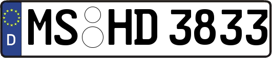 MS-HD3833