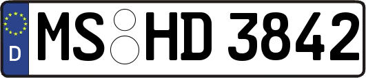MS-HD3842