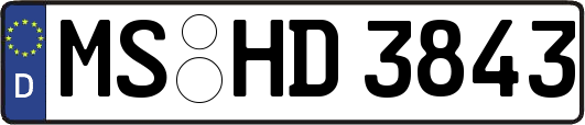 MS-HD3843