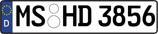 MS-HD3856