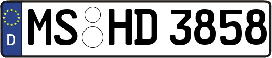 MS-HD3858