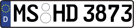 MS-HD3873