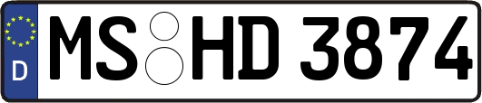 MS-HD3874