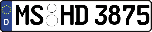 MS-HD3875