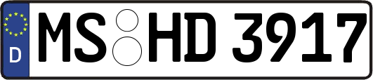 MS-HD3917