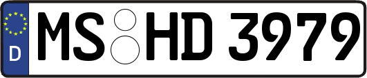 MS-HD3979