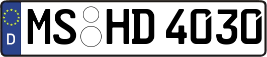 MS-HD4030