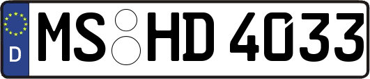 MS-HD4033