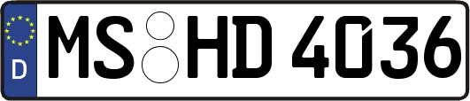 MS-HD4036