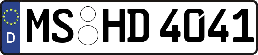 MS-HD4041