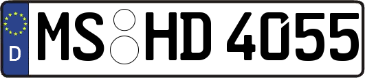 MS-HD4055