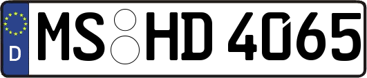 MS-HD4065