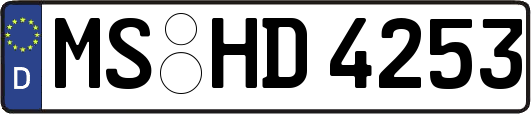 MS-HD4253