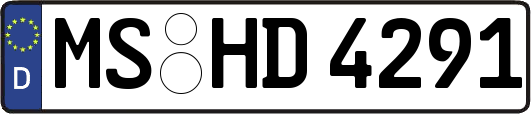 MS-HD4291