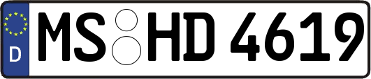 MS-HD4619