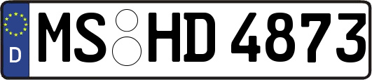 MS-HD4873