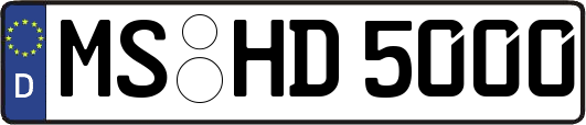 MS-HD5000
