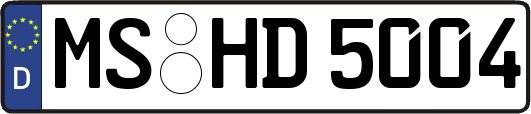 MS-HD5004