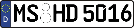 MS-HD5016