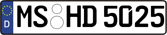 MS-HD5025