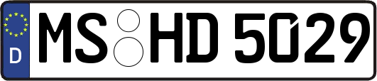 MS-HD5029