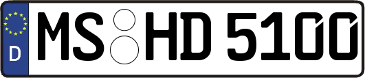 MS-HD5100