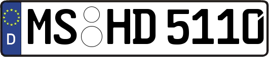 MS-HD5110
