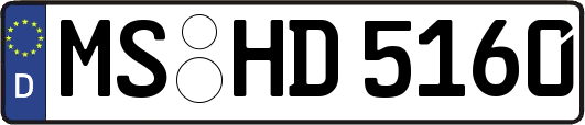 MS-HD5160