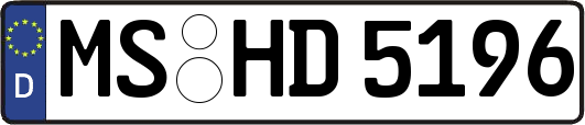 MS-HD5196