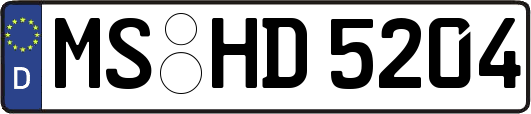 MS-HD5204
